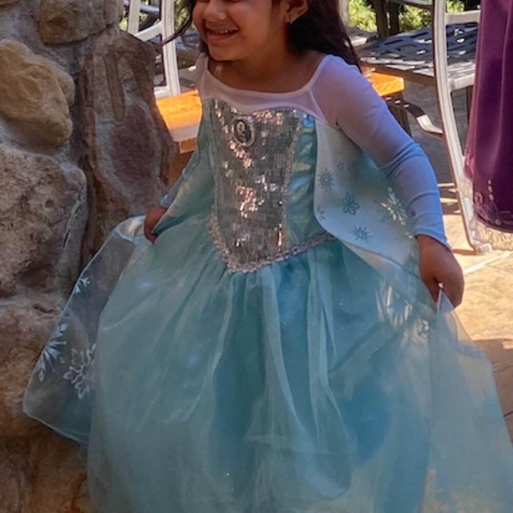 Frozen Elsa Costume